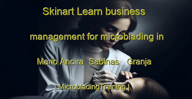 Skinart Learn business management for microblading in Mario Ancira  Sabinas   Granja | MicrobladingTraining | MicrobladingClasses | SkinartTraining-Mexico